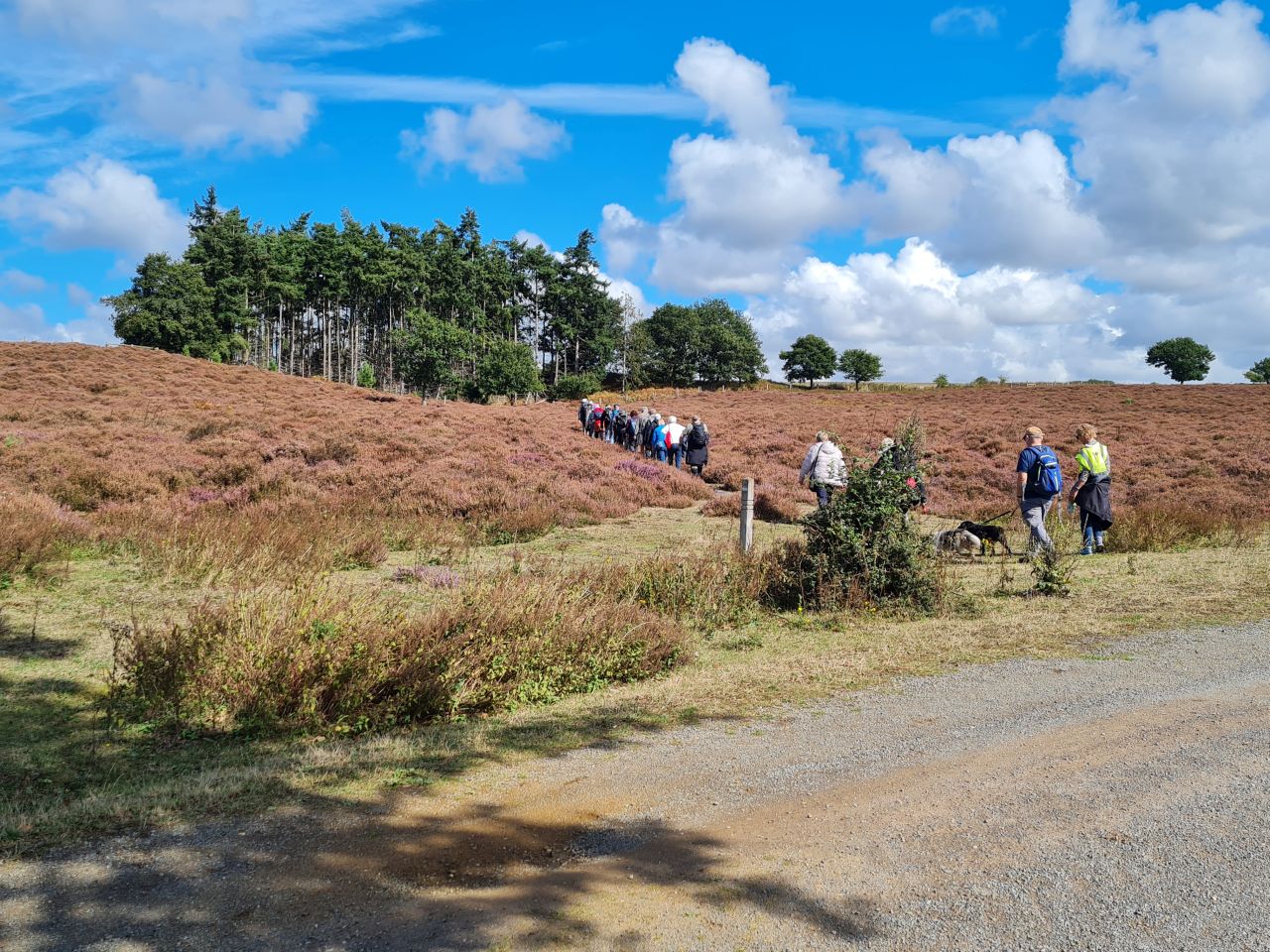 2024-09-12 28 Roydon Common.jpg