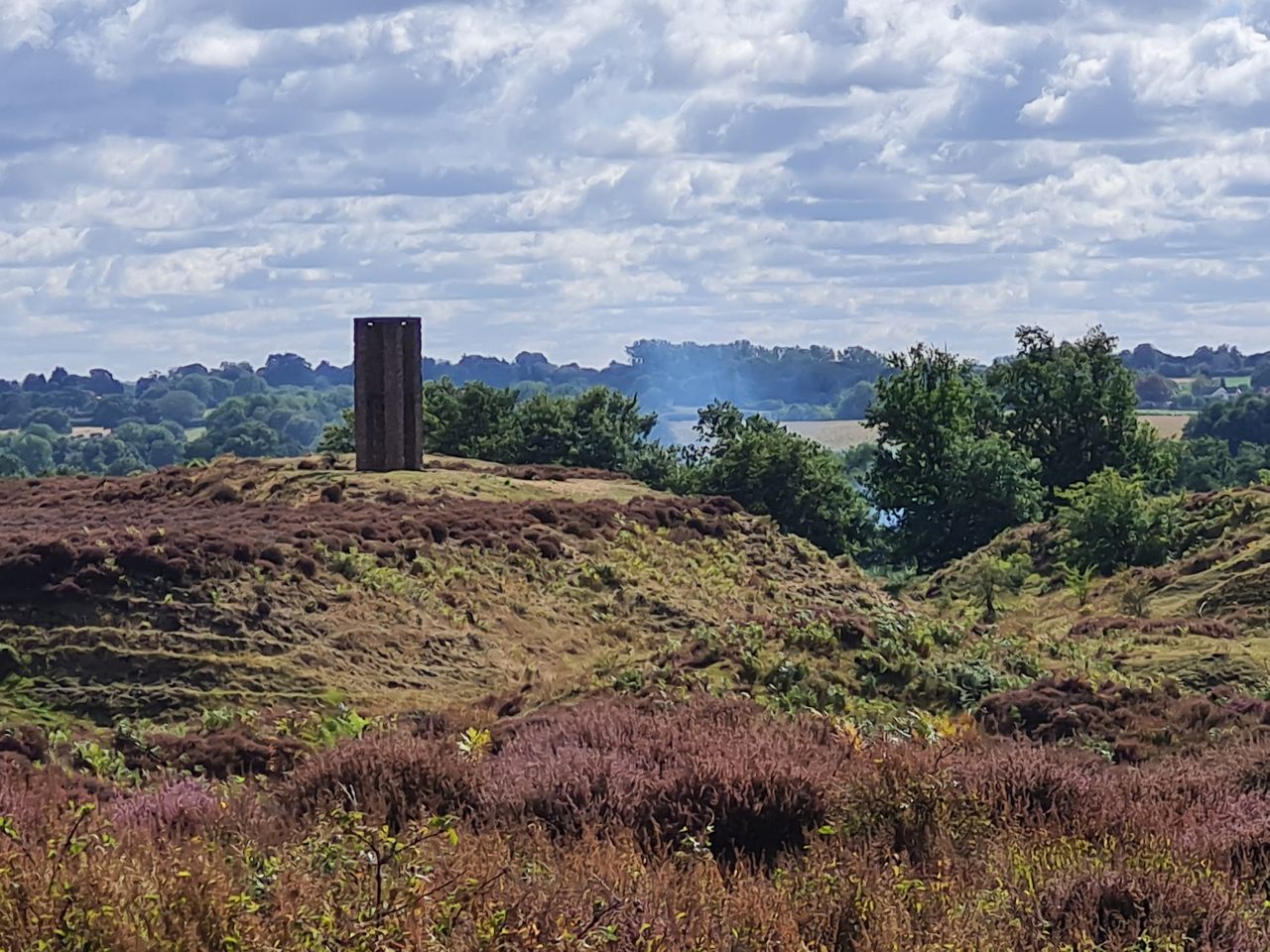 2024-09-12 34 Roydon Common.jpg