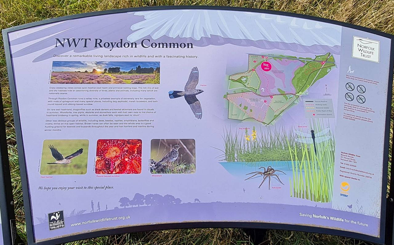 2024-09-12 38 Roydon Common.jpg