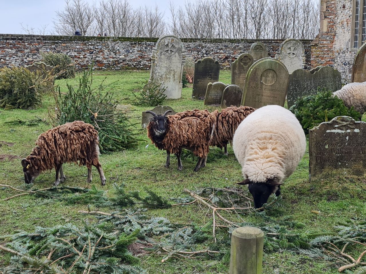 2025-01-17 35 Lowestoft Bridges.jpg