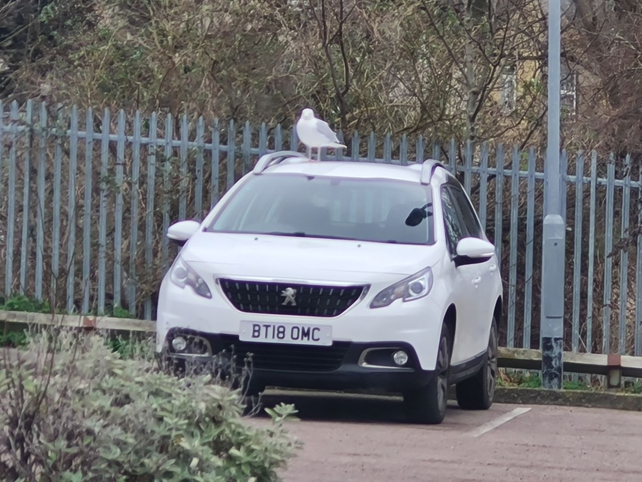 2025-01-17 48 Lowestoft Bridges.jpg