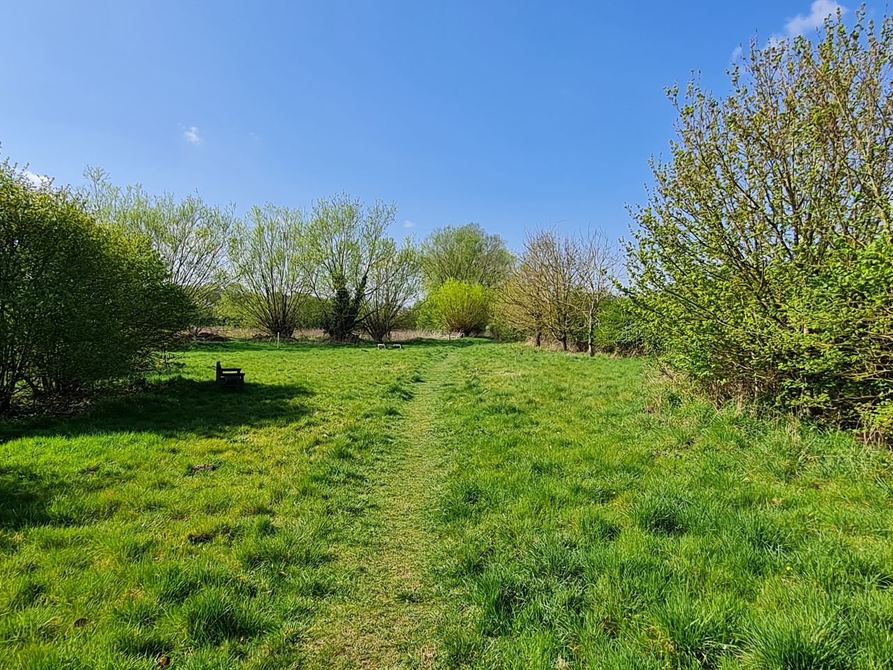 2025-04-13 08 Rickinghall and Thelnetham.jpg