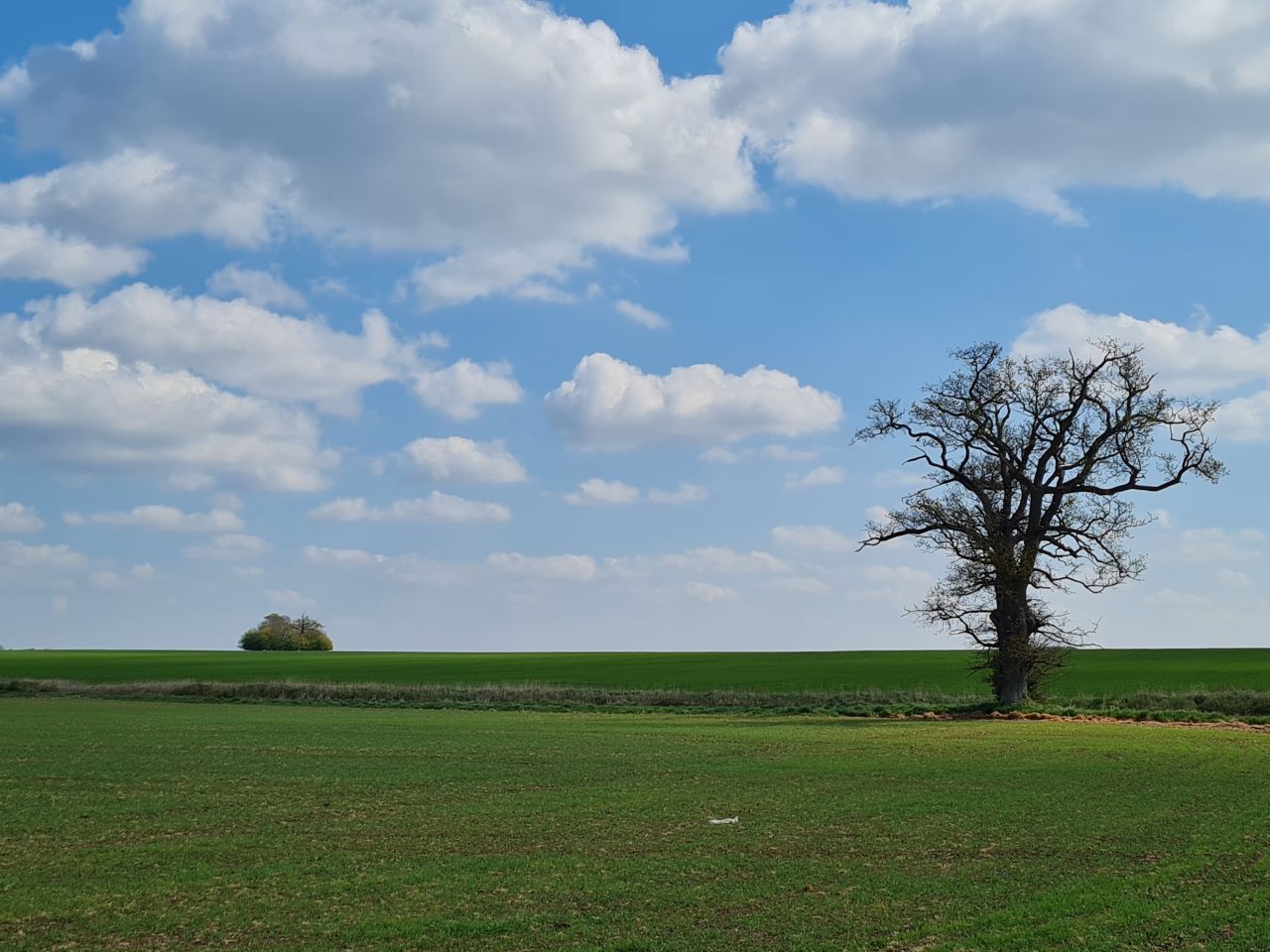 2025-04-13 10 Rickinghall and Thelnetham.jpg