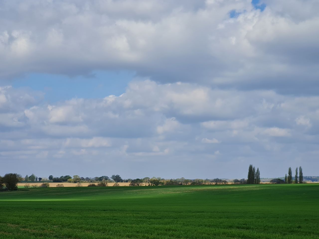 2025-04-13 11 Rickinghall and Thelnetham.jpg