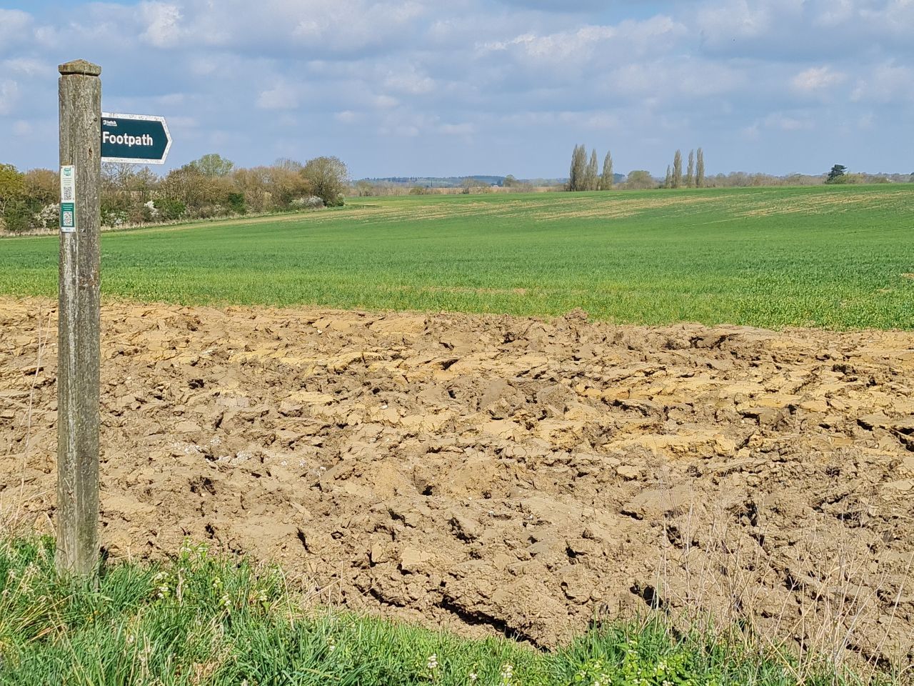 2025-04-13 12 Rickinghall and Thelnetham.jpg