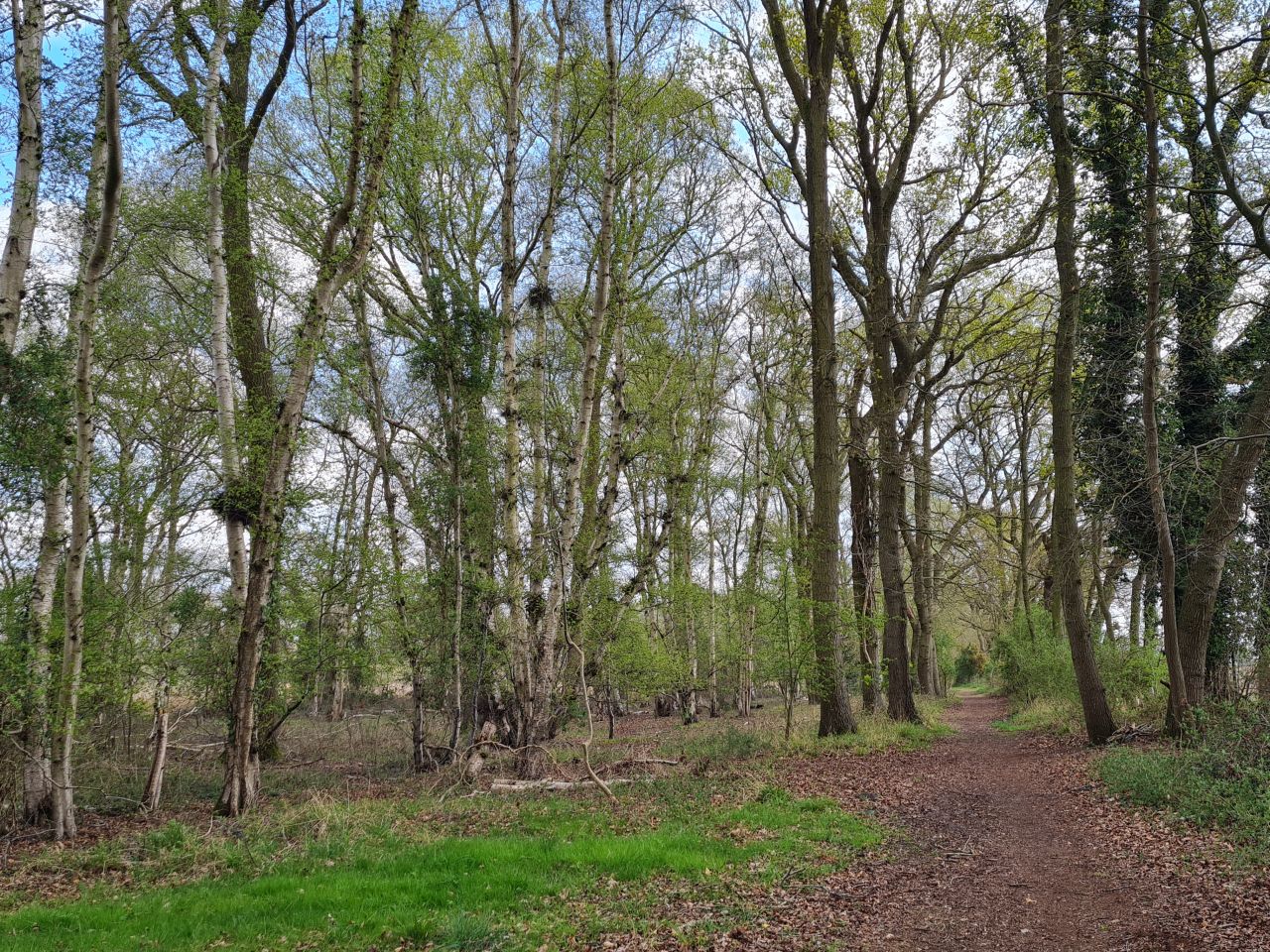 2025-04-13 34 Rickinghall and Thelnetham.jpg