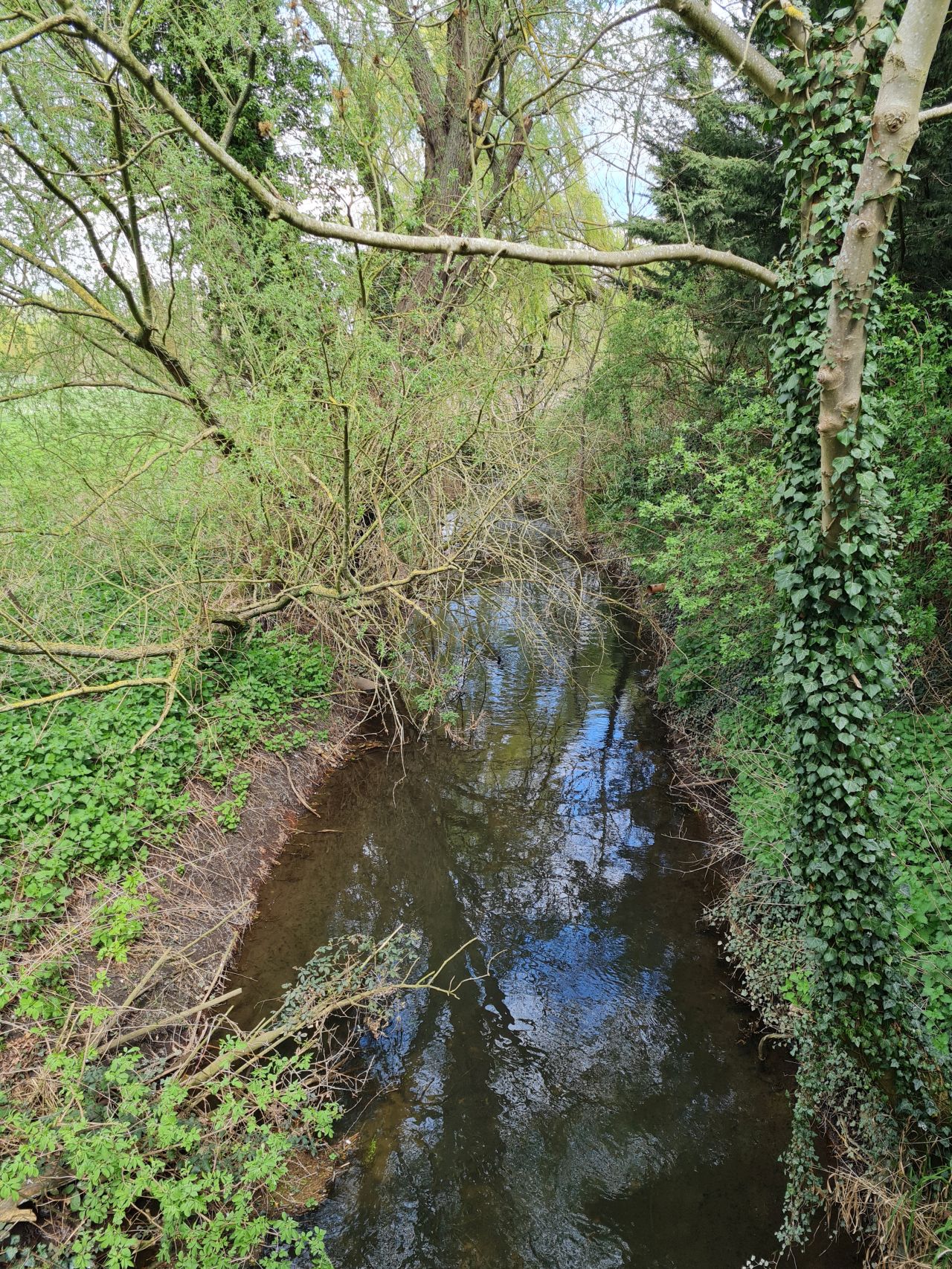 2025-04-13 38 Rickinghall and Thelnetham.jpg