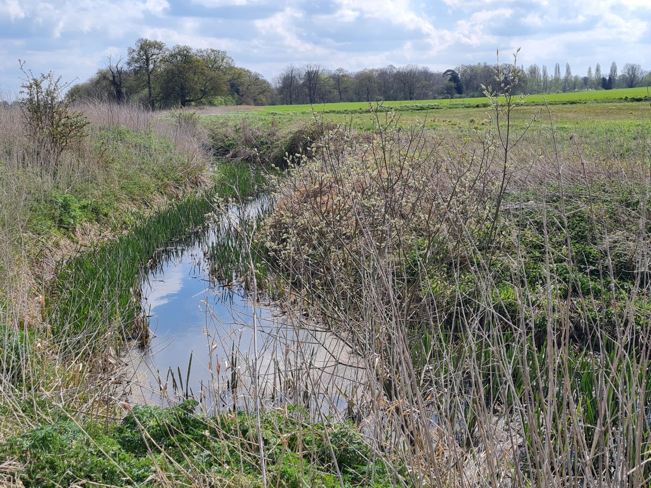 2025-04-13 41 Rickinghall and Thelnetham.jpg