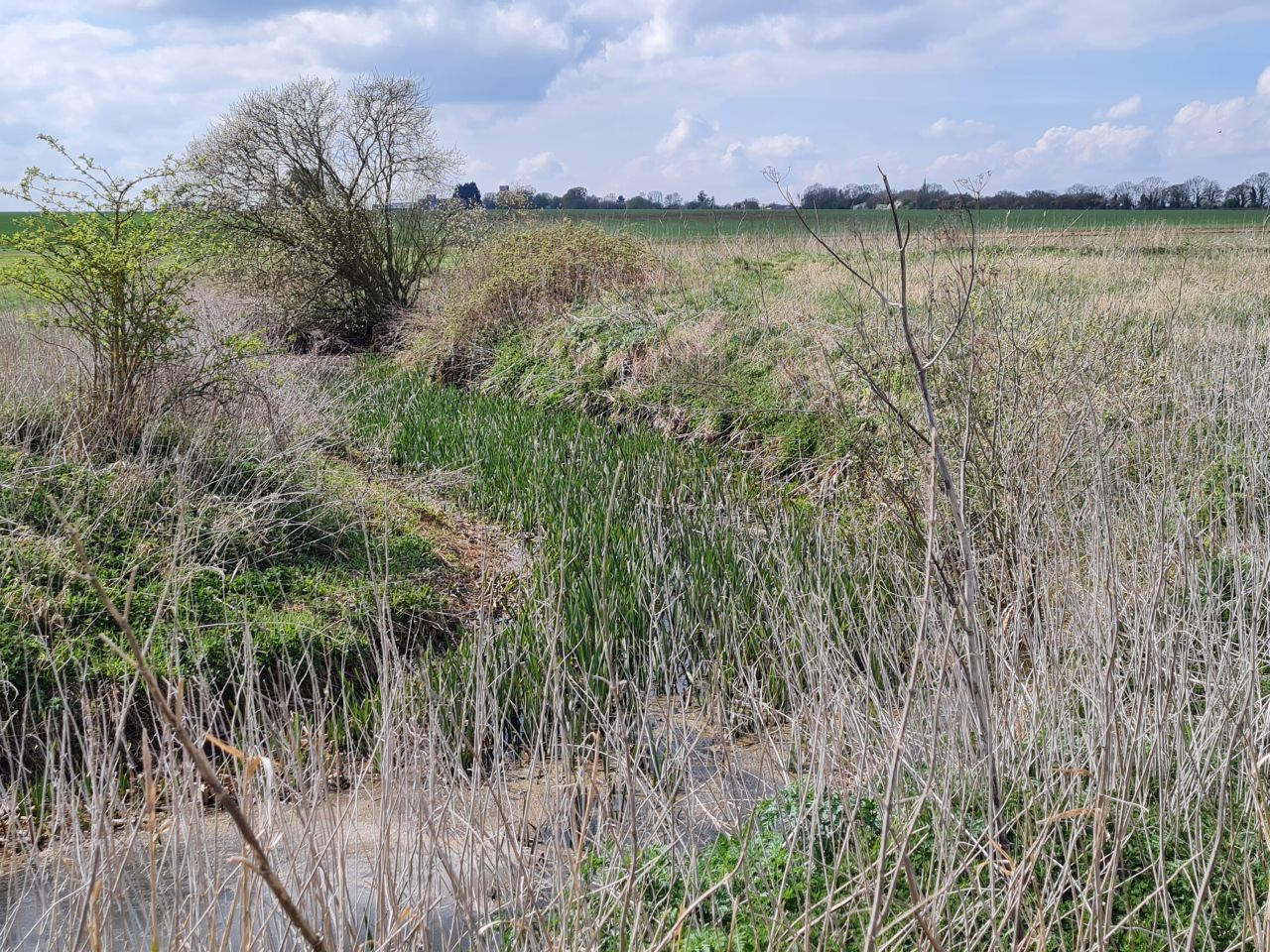 2025-04-13 42 Rickinghall and Thelnetham.jpg