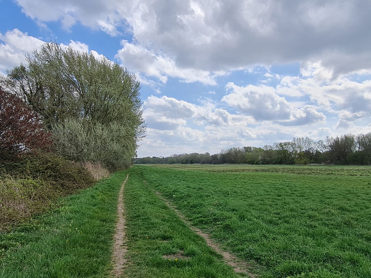 2025-04-13 44 Rickinghall and Thelnetham.jpg