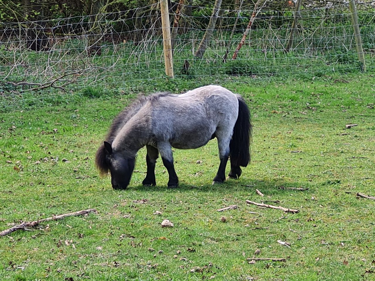 2025-04-13 45 Rickinghall and Thelnetham.jpg