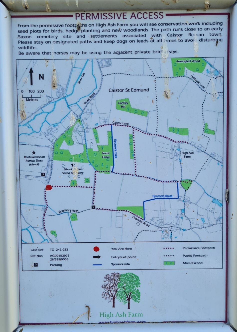 2023-06-15 04 Wensum at High Ash Farm.jpg