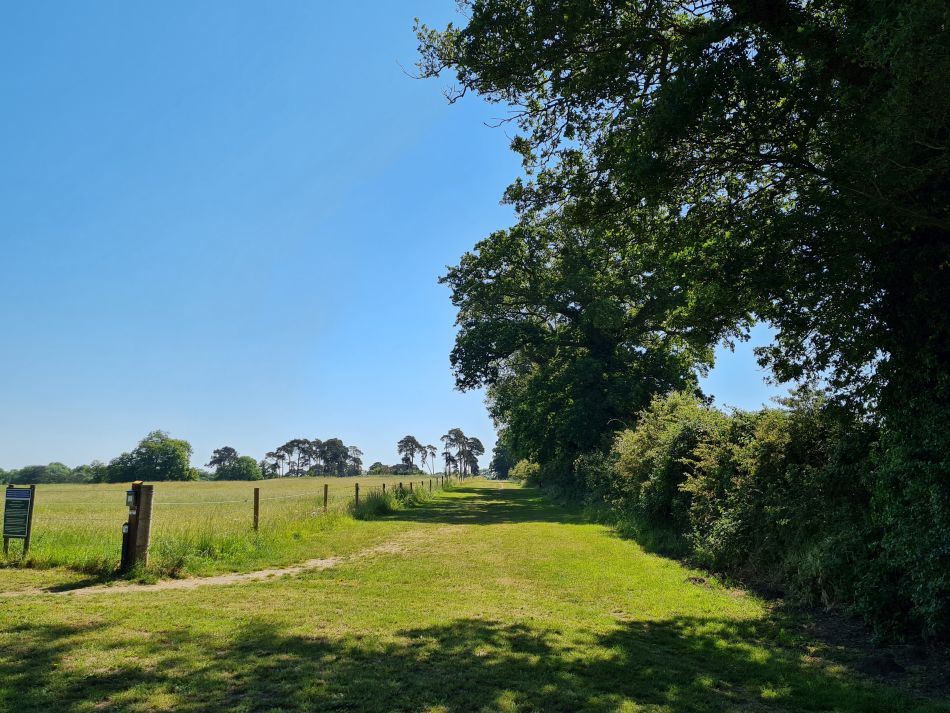 2023-06-15 07 Wensum at High Ash Farm.jpg