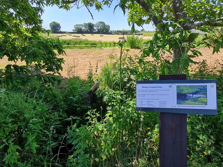 2023-06-15 15 Wensum at High Ash Farm.jpg