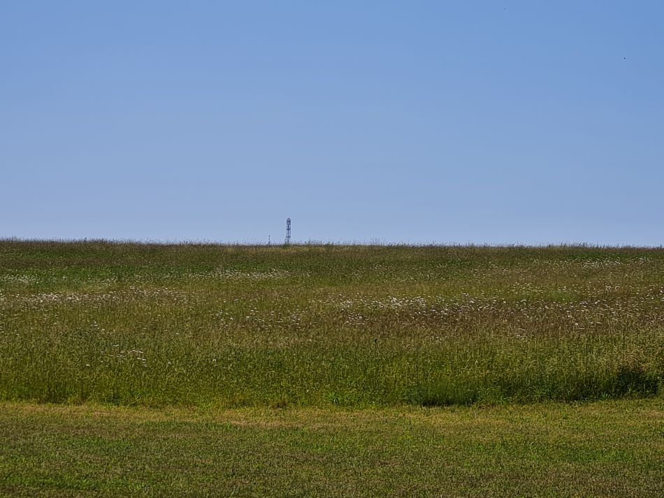 2023-06-15 25 Wensum at High Ash Farm.jpg