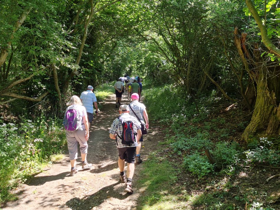 2023-06-15 27 Wensum at High Ash Farm.jpg