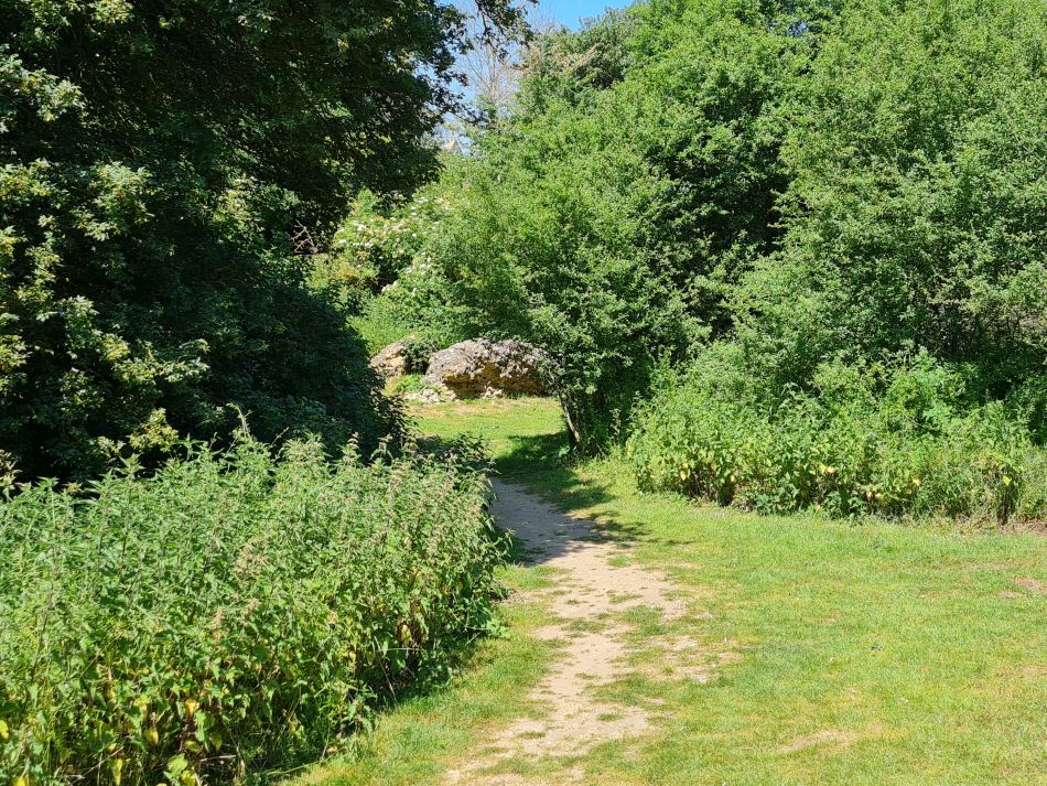 2023-06-15 48 Wensum at High Ash Farm.jpg