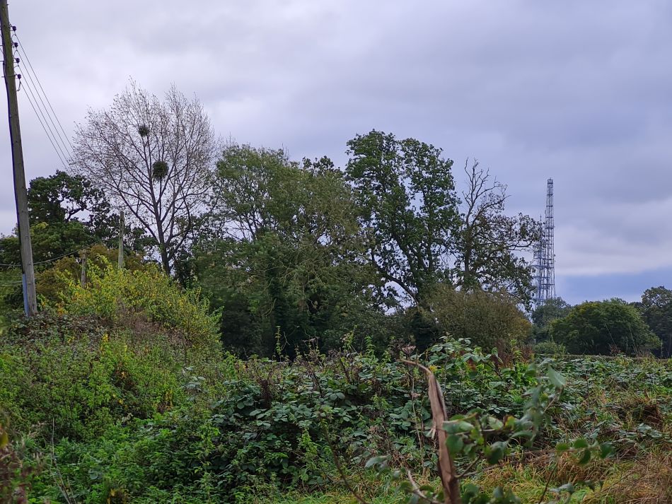 2023-11-05 22 Venta Icenorum.jpg