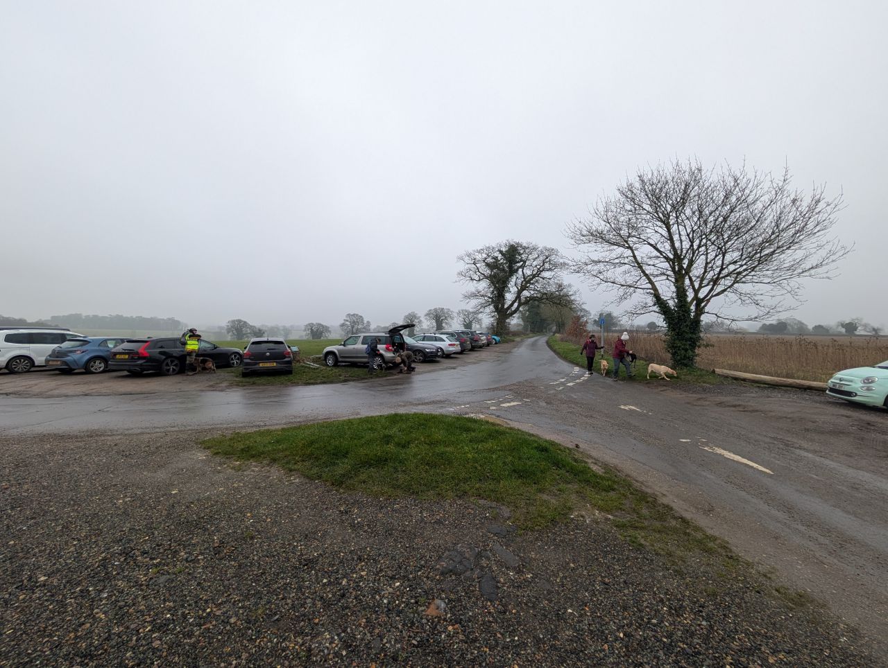 2026-02-10 04 High Ash Farm.jpg