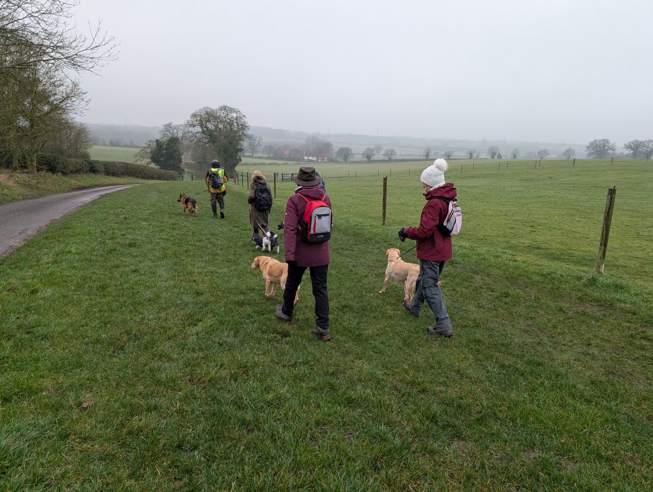 2026-02-10 05 High Ash Farm.jpg