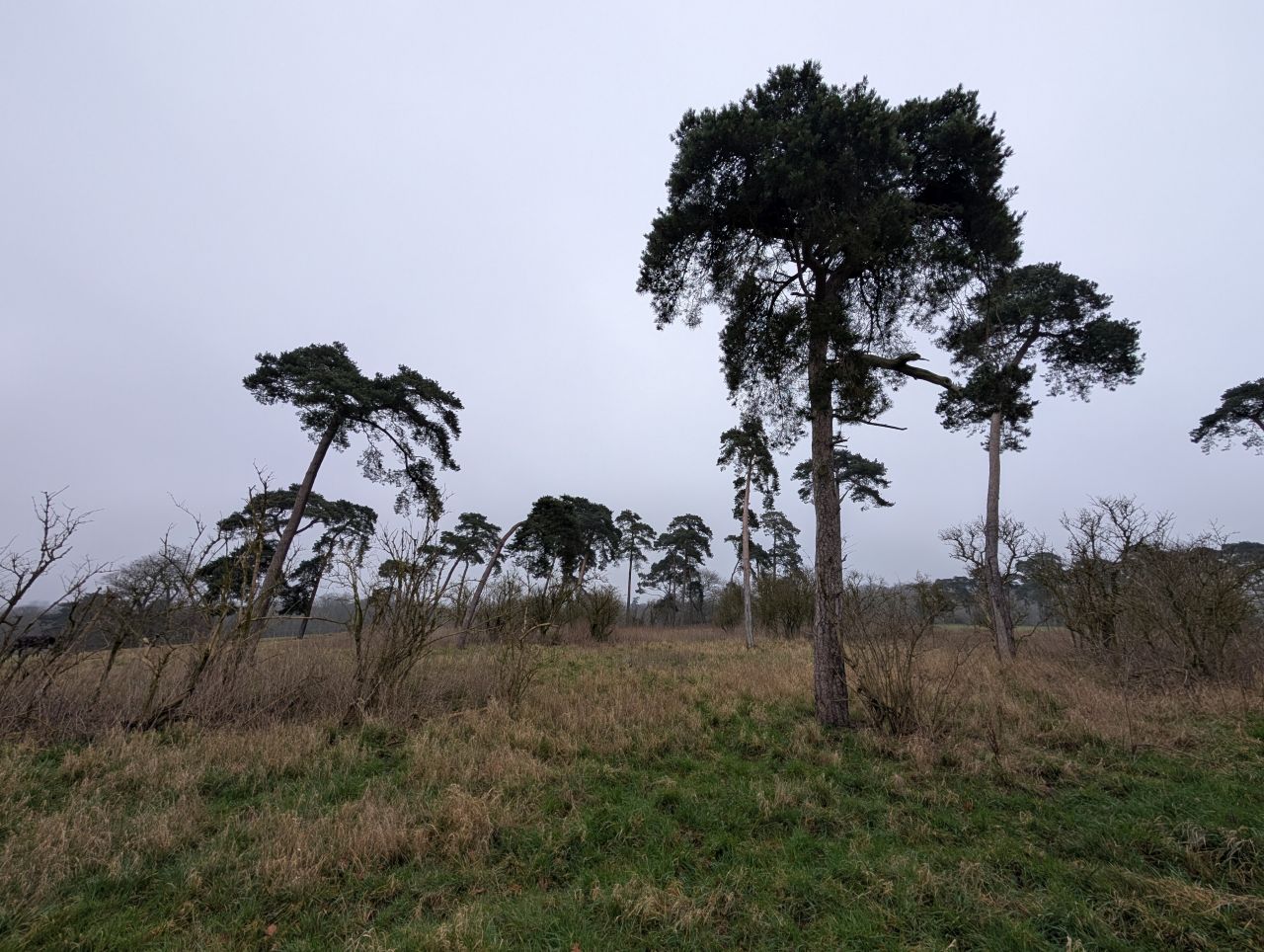 2026-02-10 09 High Ash Farm.jpg