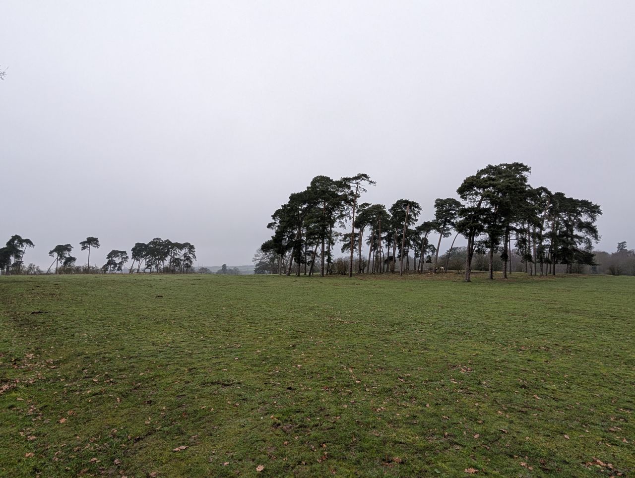 2026-02-10 11 High Ash Farm.jpg