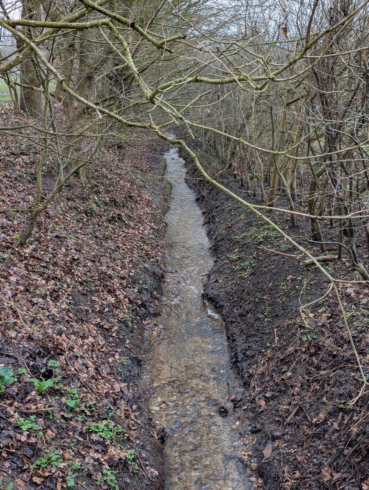 2026-02-10 17 High Ash Farm.jpg