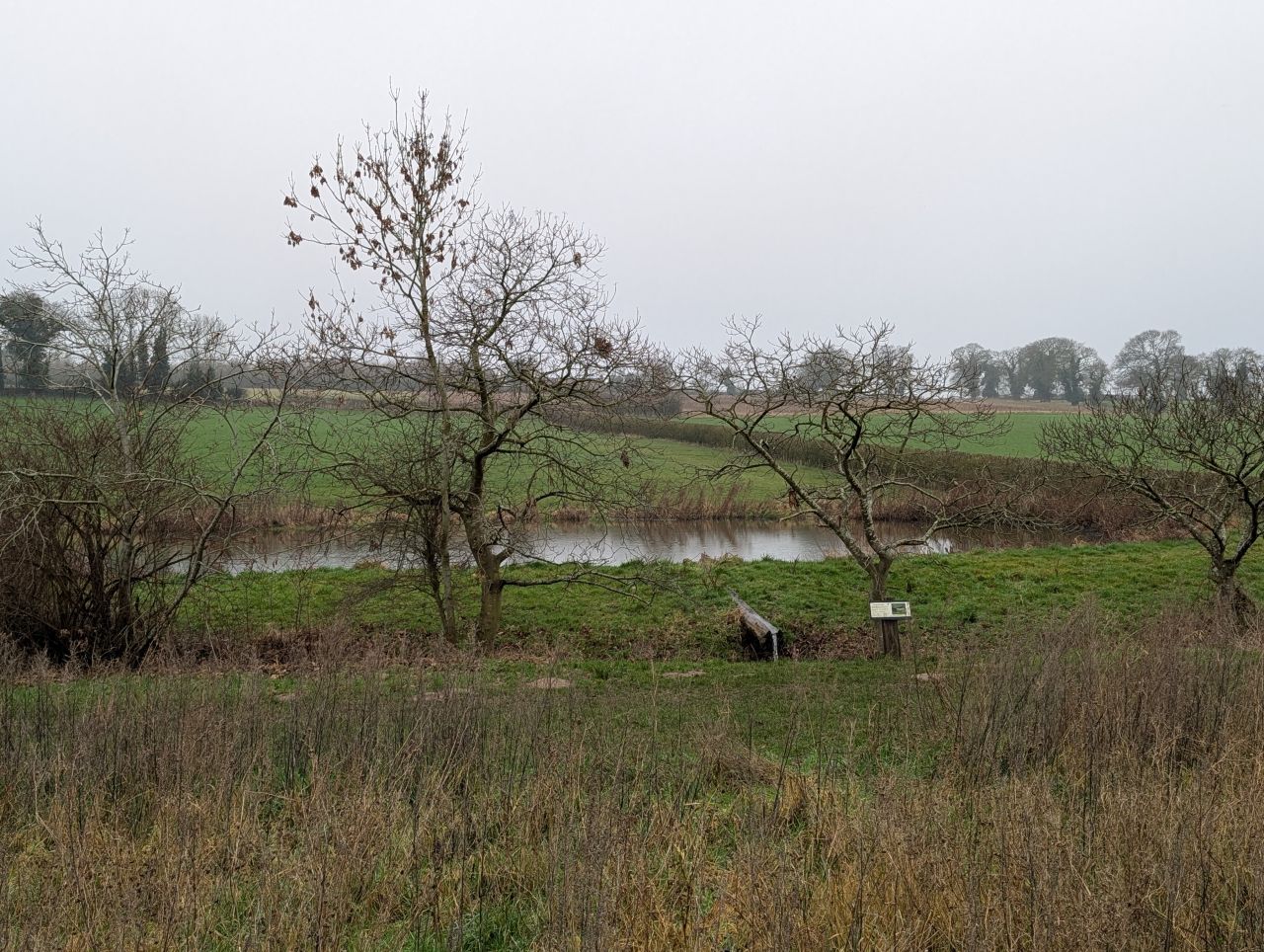 2026-02-10 18 High Ash Farm.jpg