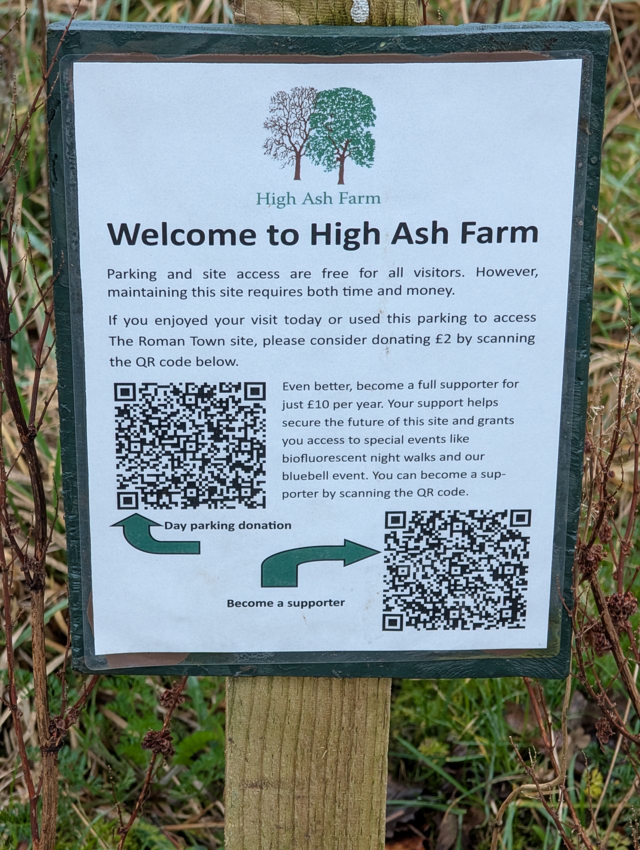 2026-02-10 22 High Ash Farm.jpg