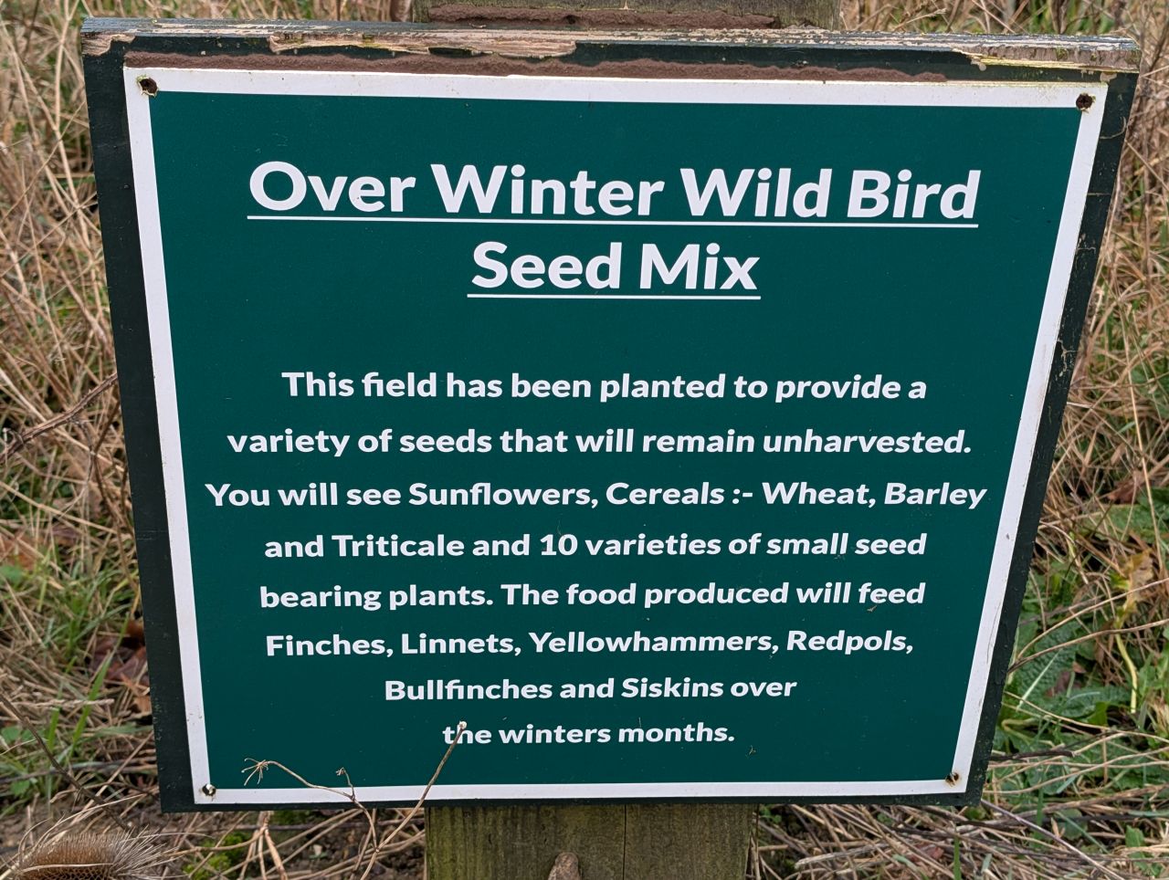 2026-02-10 24 High Ash Farm.jpg