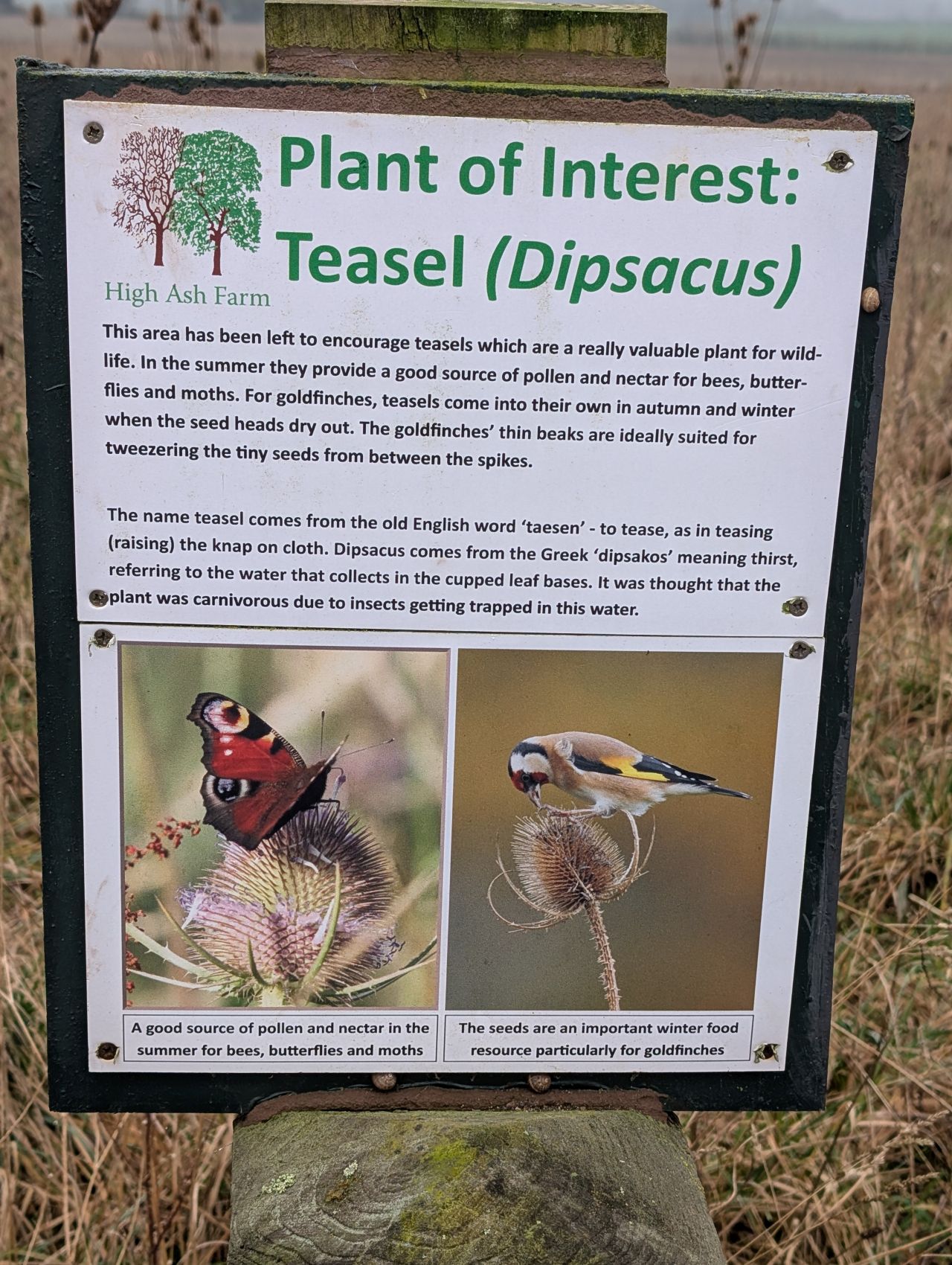 2026-02-10 25 High Ash Farm.jpg