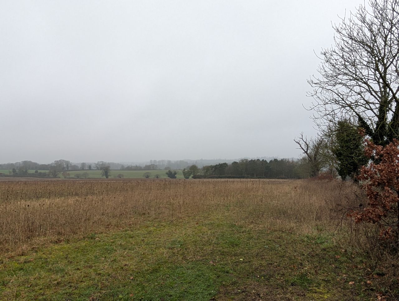 2026-02-10 26 High Ash Farm.jpg