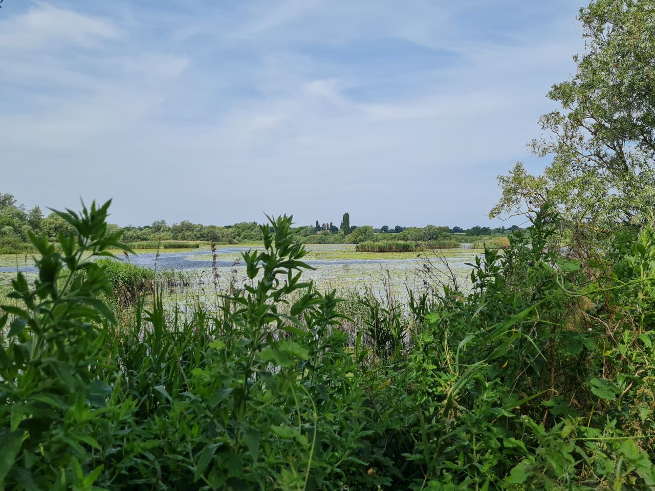 2025-06-17 02 Rockland Saint Mary.jpg