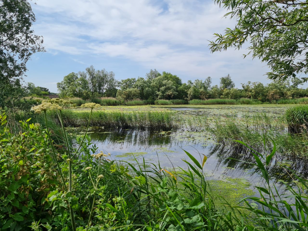 2025-06-17 03 Rockland Saint Mary.jpg