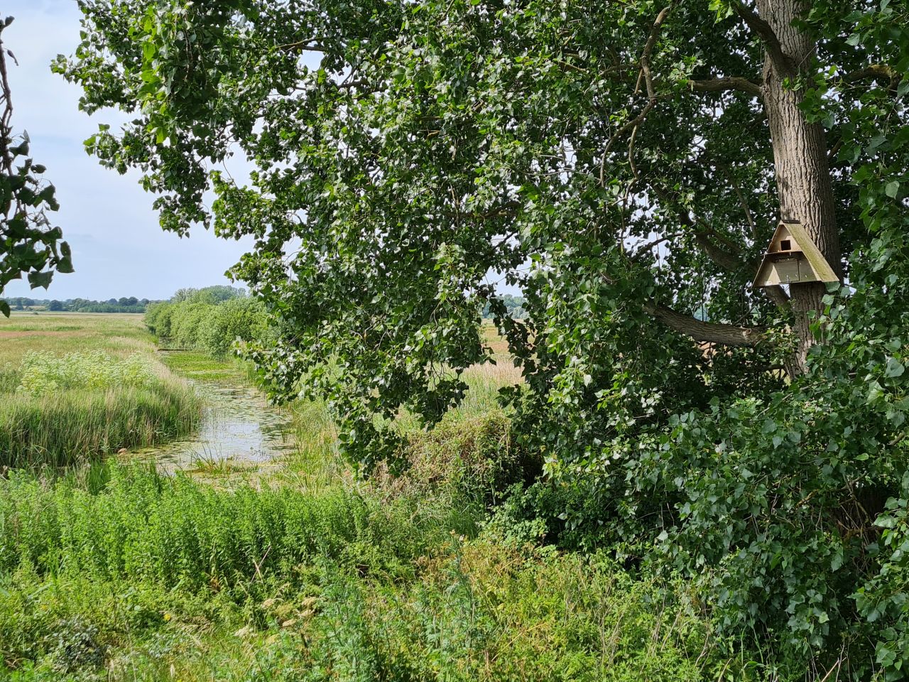 2025-06-17 05 Rockland Saint Mary.jpg