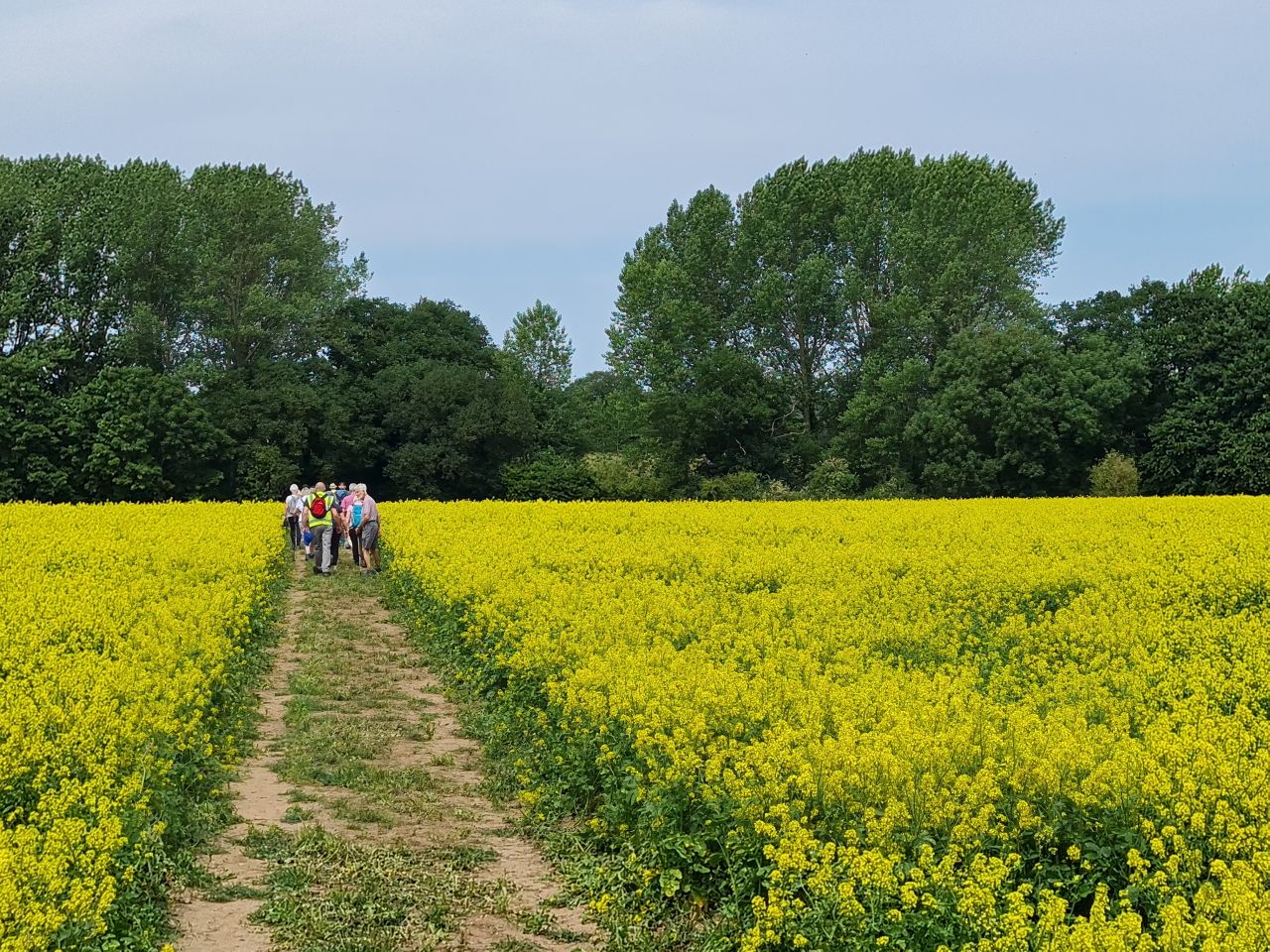 2025-06-17 12 Rockland Saint Mary.jpg