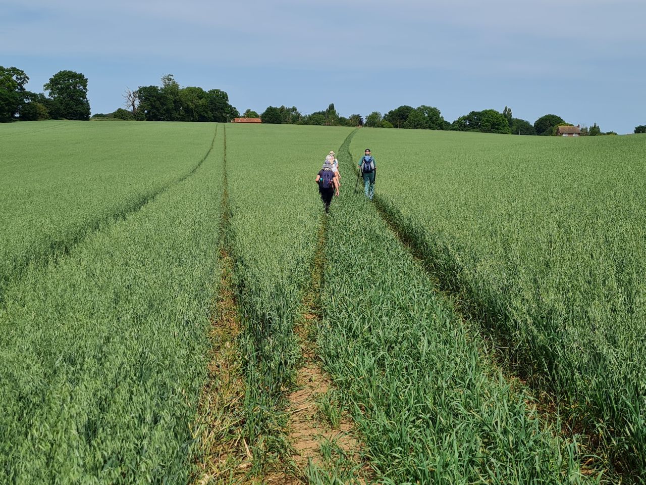 2025-06-17 13 Rockland Saint Mary.jpg