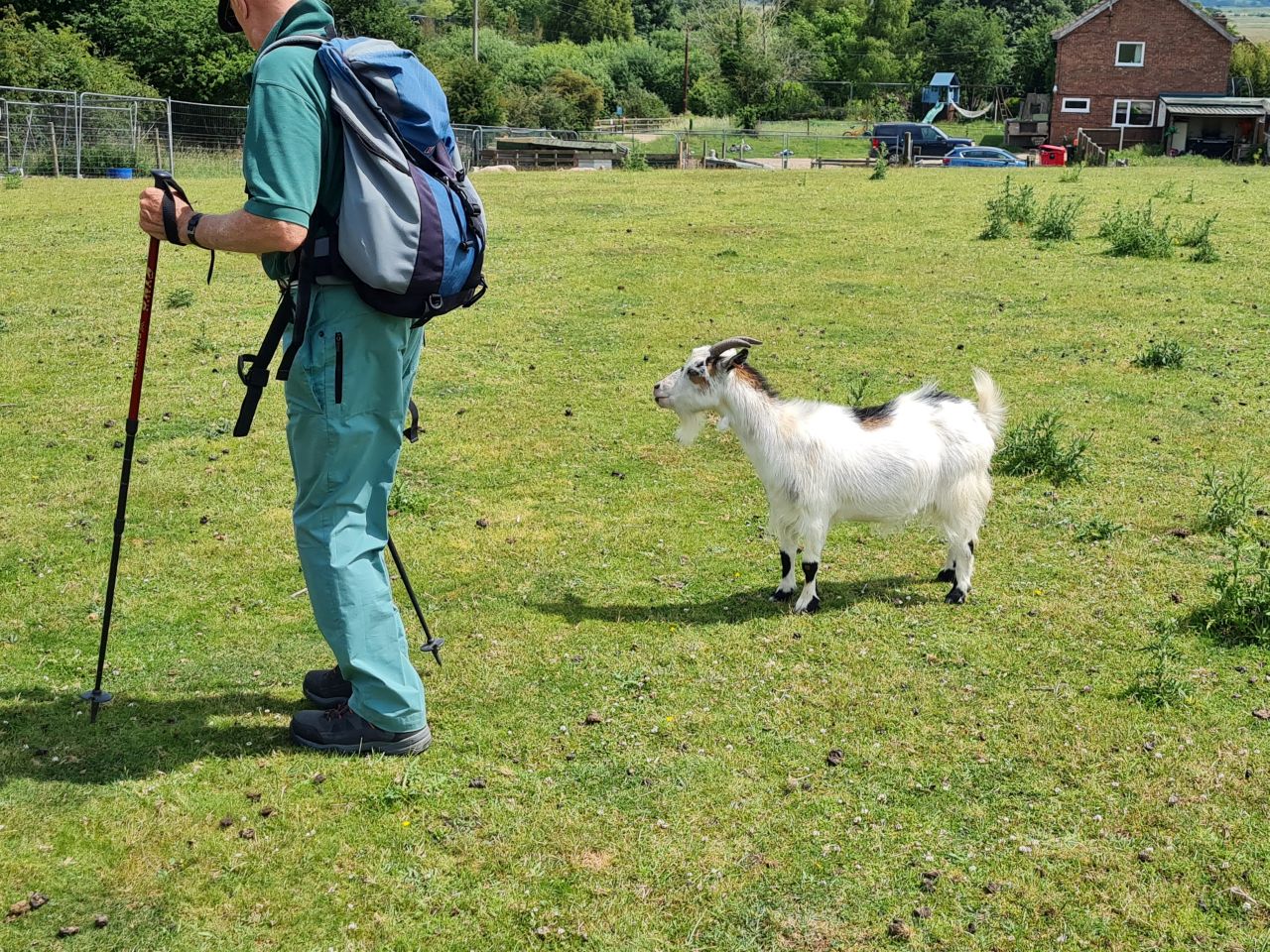 2025-06-17 15 Rockland Saint Mary.jpg