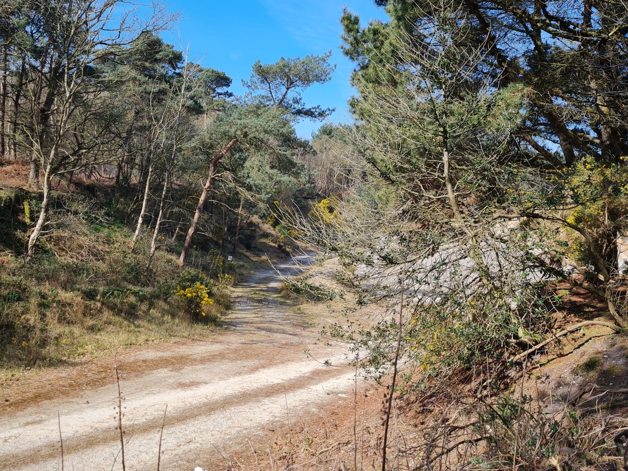 2025-04-11 04 Dunwich Fredericks Mount.jpg