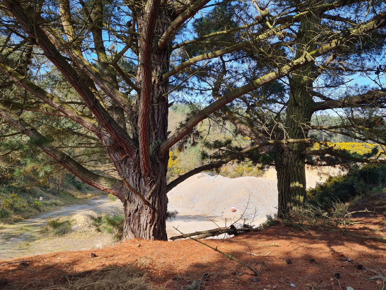 2025-04-11 05 Dunwich Fredericks Mount.jpg