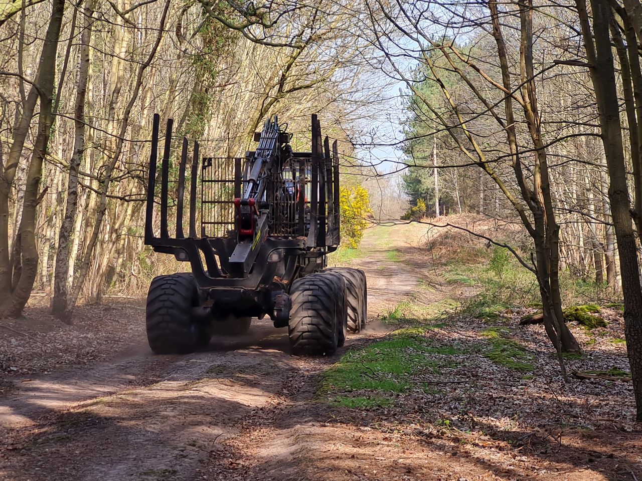 2025-04-11 06 Dunwich Fredericks Mount.jpg