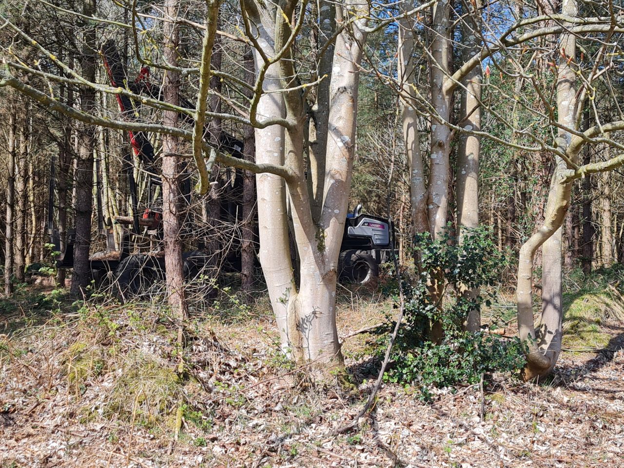 2025-04-11 08 Dunwich Fredericks Mount.jpg