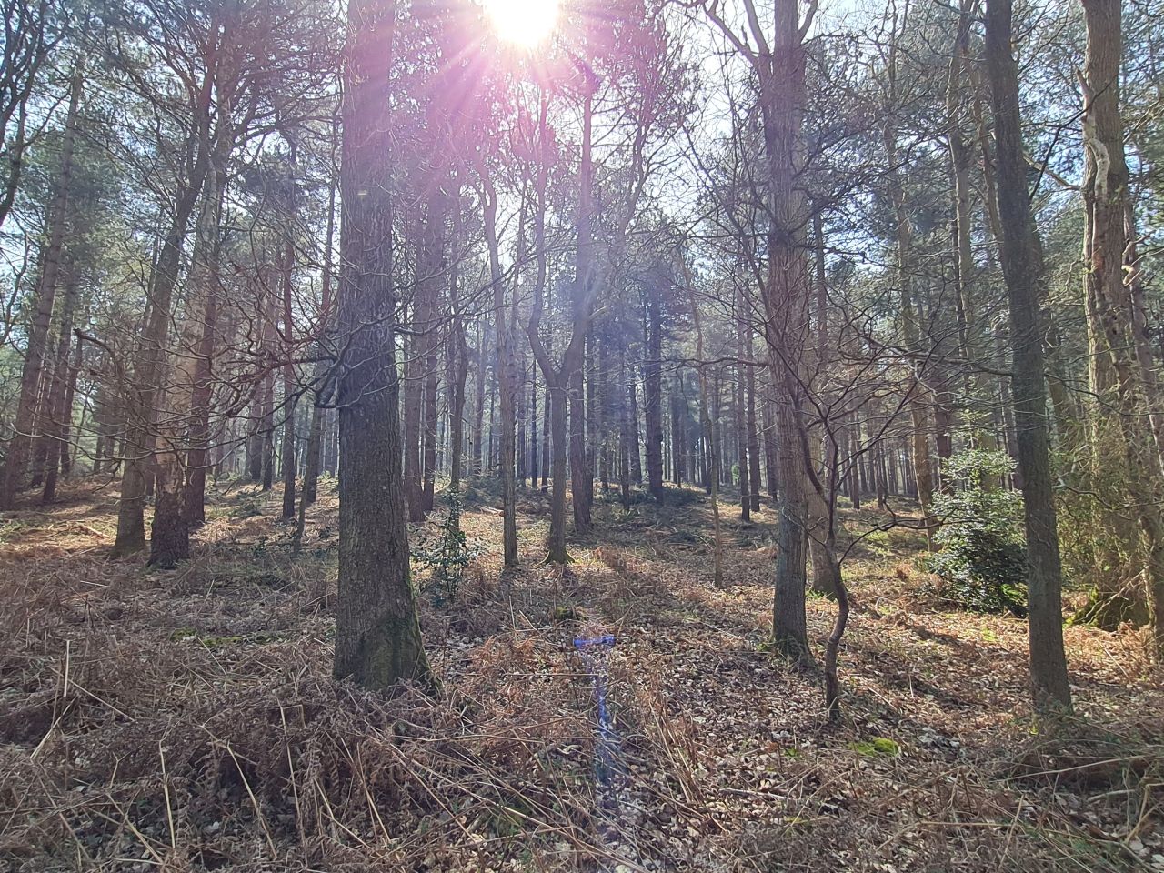 2025-04-11 10 Dunwich Fredericks Mount.jpg
