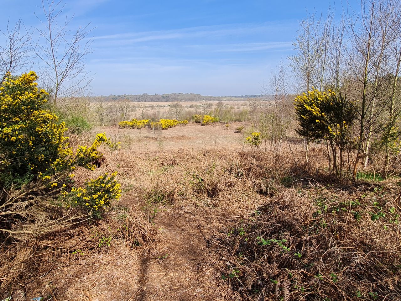 2025-04-11 11 Dunwich Fredericks Mount.jpg