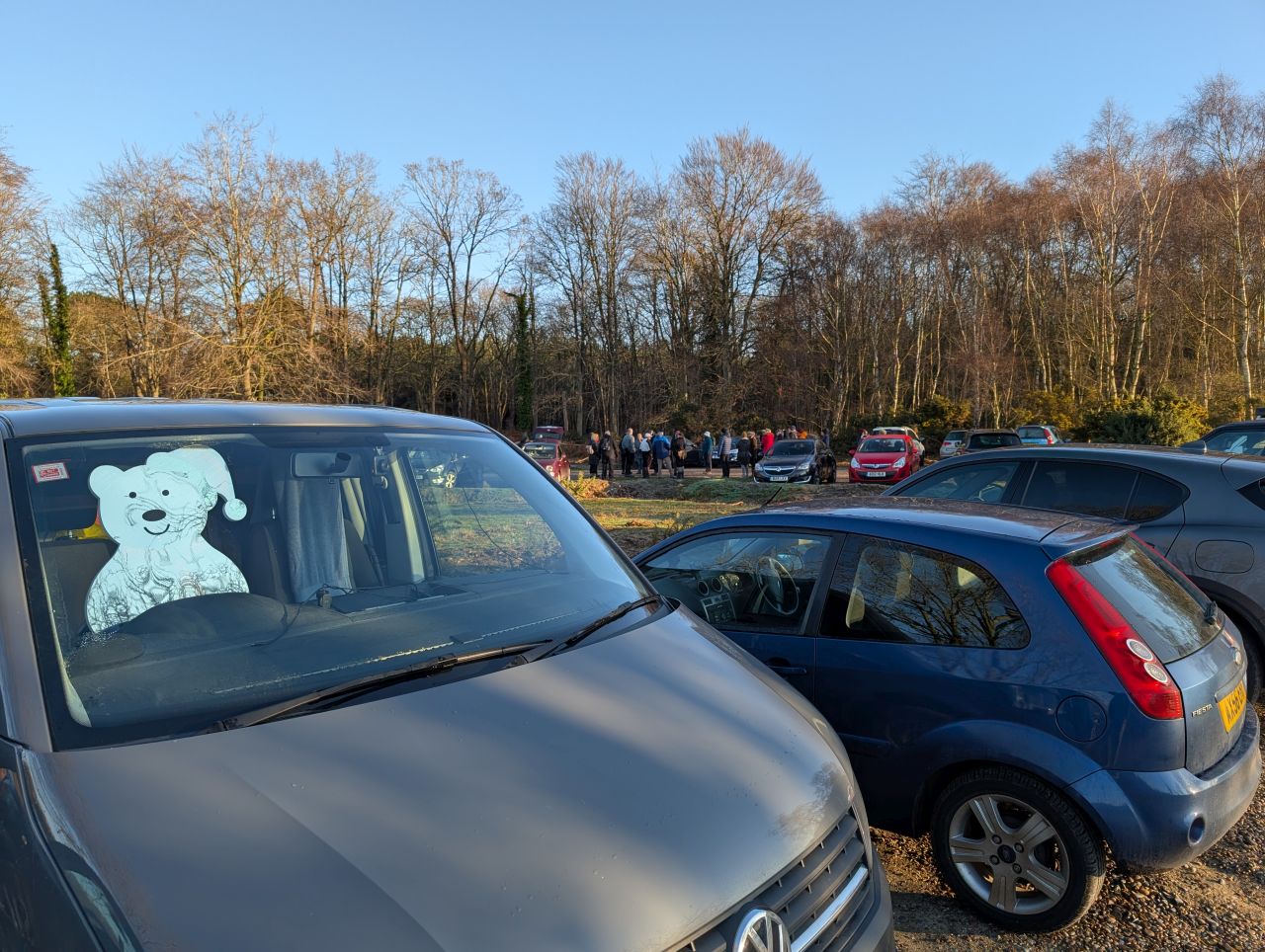 2025-12-31 01 Dunwich Forest.jpg