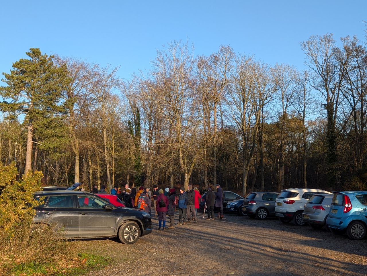 2025-12-31 02 Dunwich Forest.jpg