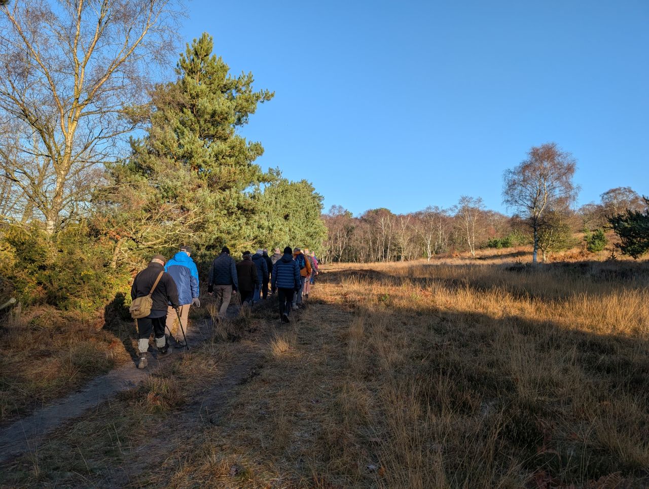 2025-12-31 07 Dunwich Forest.jpg