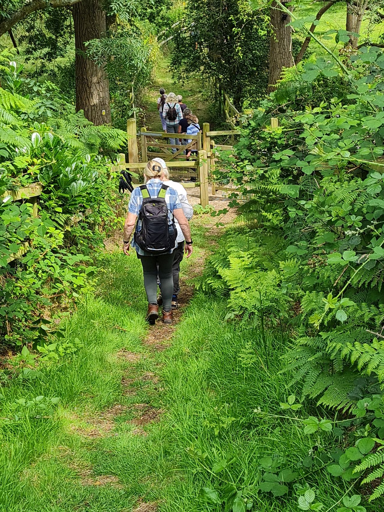 2024-07-24 16 Rural Rambles Harleston Walk 7.jpg