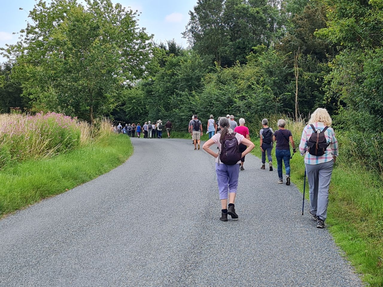 2024-07-24 17 Rural Rambles Harleston Walk 7.jpg