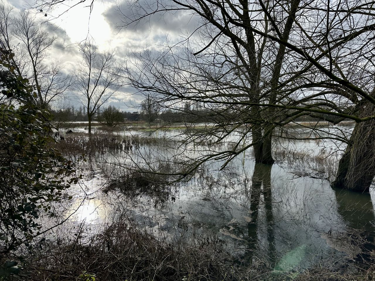 2026-02-08 08 Denton Woods.jpg